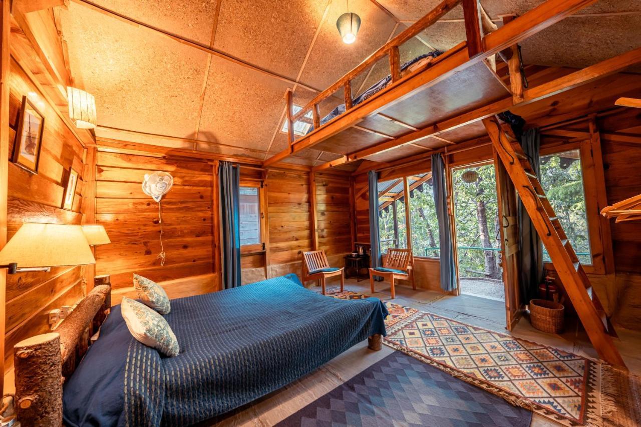 Mountain Quail Lodge ناينيتال المظهر الخارجي الصورة
